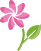 Blooms In Spring icon