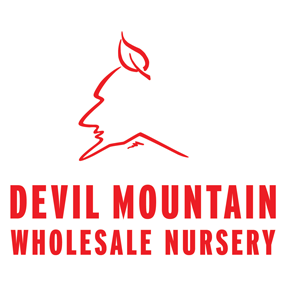 Devil Mountain Wholesale Nursery logo